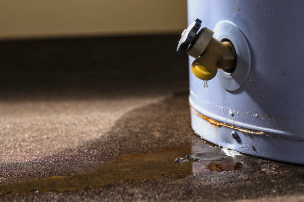 Best 24/7 water damage repair  in Ben Lomond, CA