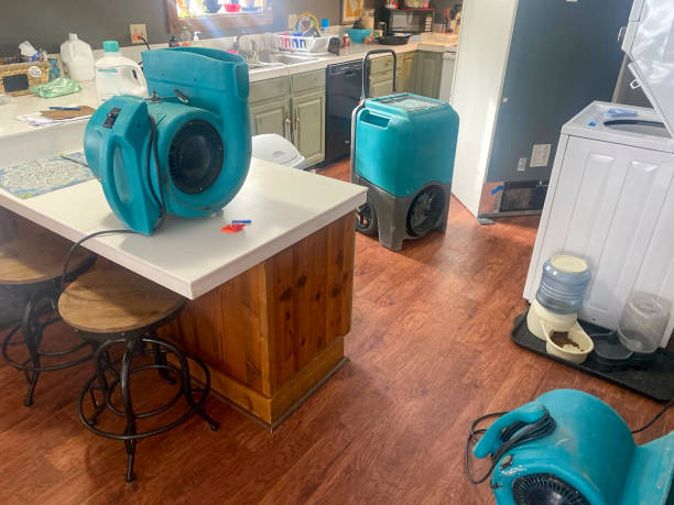 Water damage restoration insurance claims in Ben Lomond, CA