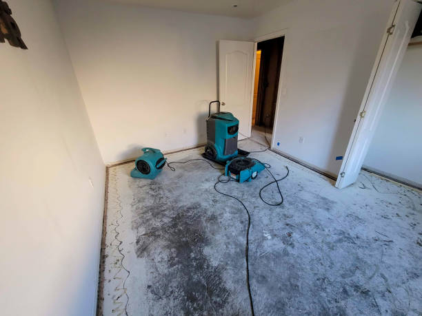 Water damage restoration mold remediation in Ben Lomond, CA