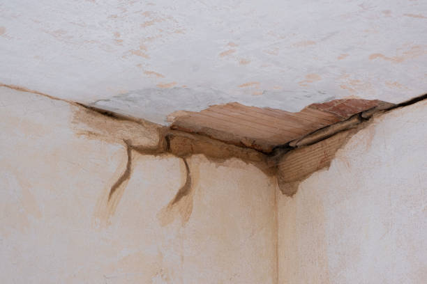 Best Flood damage cleanup  in Ben Lomond, CA
