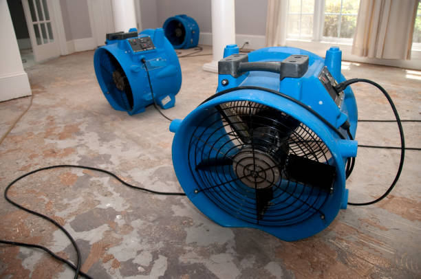 Best Water damage restoration mold remediation  in Ben Lomond, CA