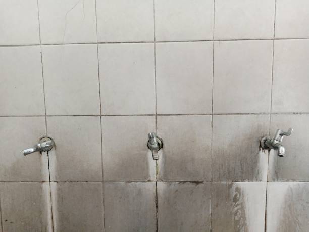 Best Emergency water damage restoration  in Ben Lomond, CA
