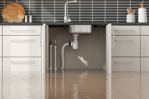 Best Water damage restoration insurance claims  in Ben Lomond, CA