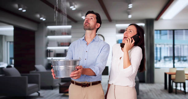 Best Local water damage restoration  in Ben Lomond, CA
